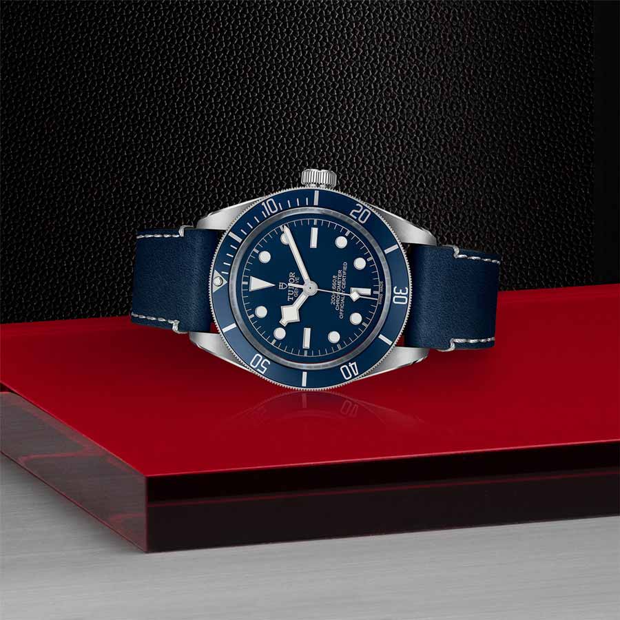 TUDOR M79030B-0002 layingdown