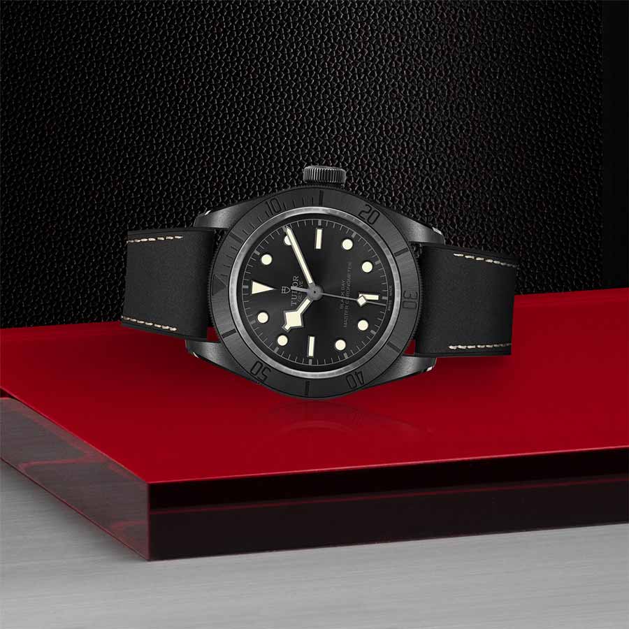TUDOR M79210CNU-0001 laying down