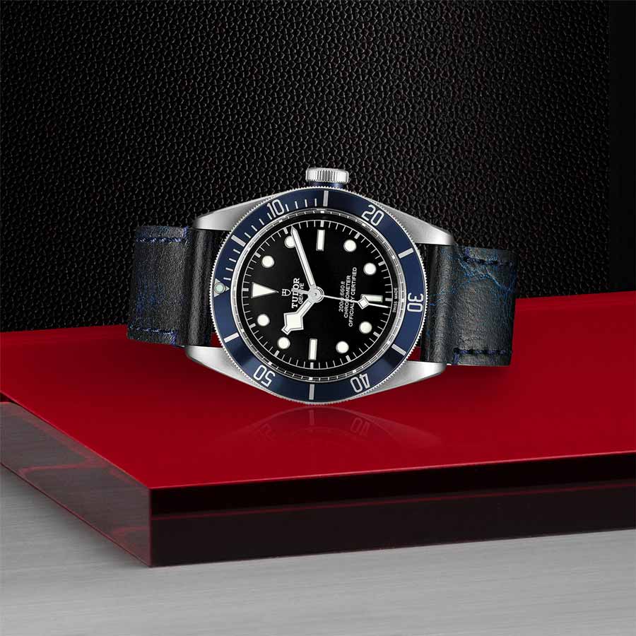 TUDOR M79230B-0007 layingdown
