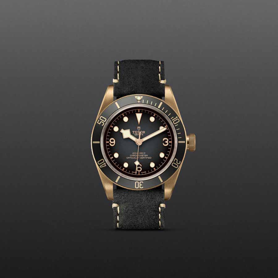 TUDOR M79250BA-0001 grey background